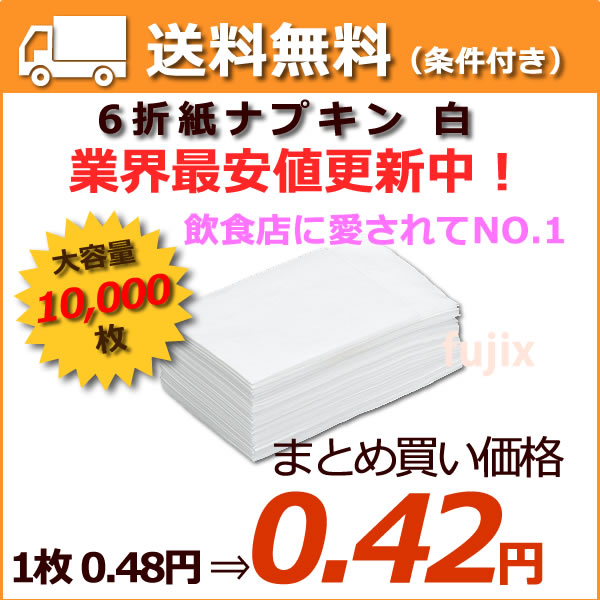 ̳ ʥץ ľס6ޥʥץ 100 x 100ޡˡڥڡѡʥץۡڰŹ ʥץ